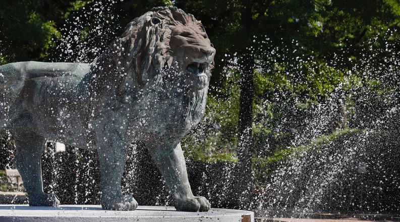 Webb Lion Fountain