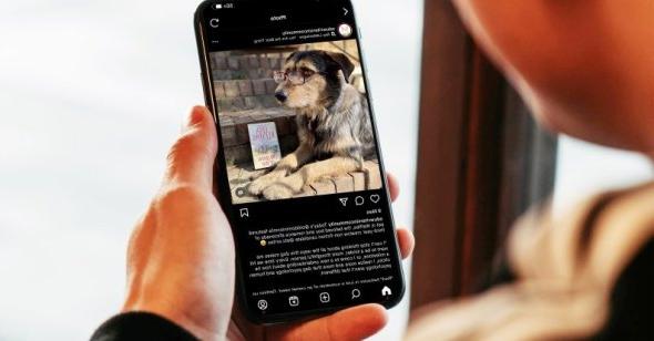 一名男子拿着一部手机，上面显示着一只狗的图片.
